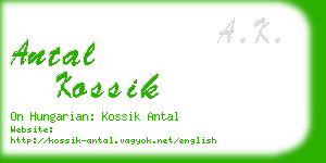 antal kossik business card